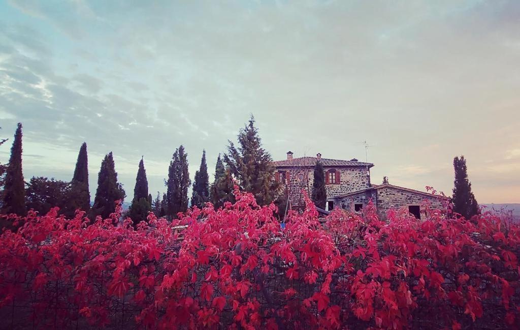 Casa al Maestro B&B Radicofani Esterno foto